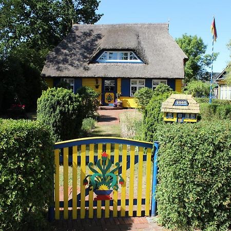 Strandstr_51 Wohnung 9 Zingst Exterior photo